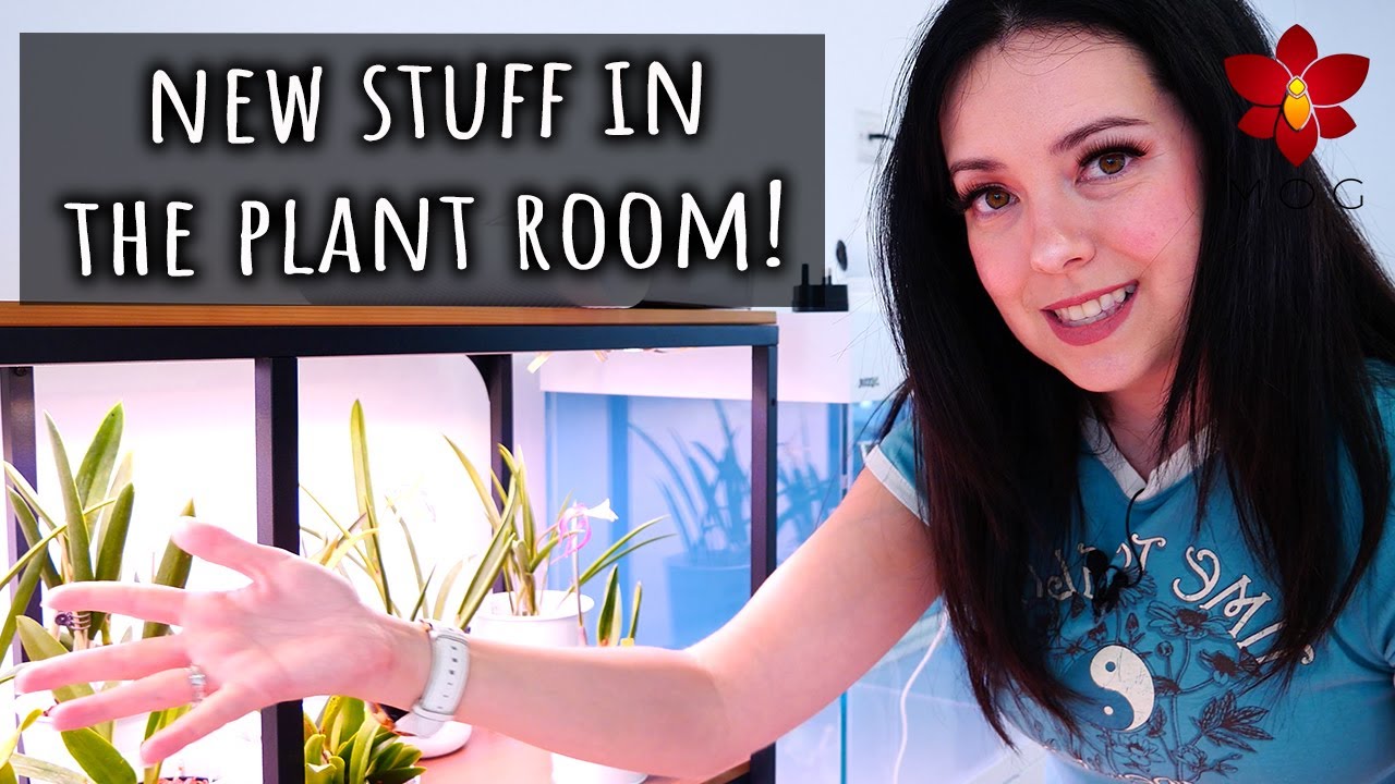 MissOrchidGirl - Adding New Orchid Shelves And Grow Lights!